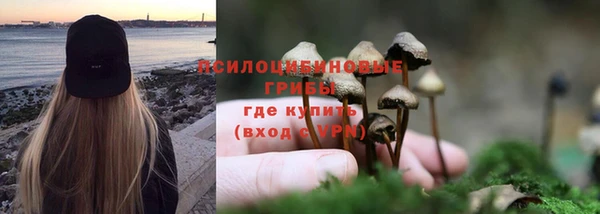 прущая мука Арсеньев