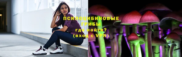 прущая мука Арсеньев
