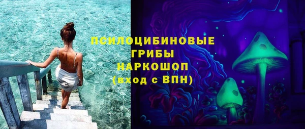 прущая мука Арсеньев